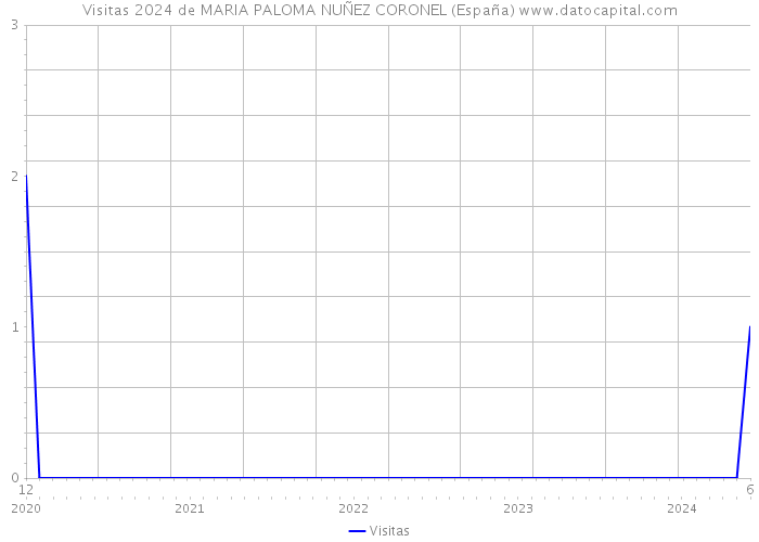 Visitas 2024 de MARIA PALOMA NUÑEZ CORONEL (España) 