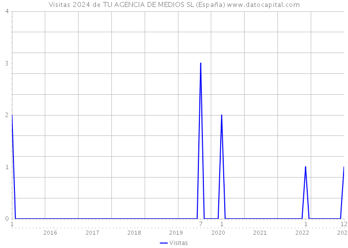 Visitas 2024 de TU AGENCIA DE MEDIOS SL (España) 