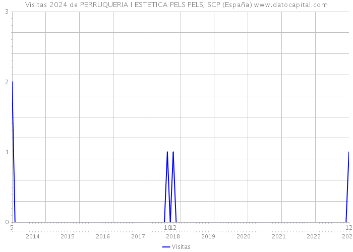 Visitas 2024 de PERRUQUERIA I ESTETICA PELS PELS, SCP (España) 