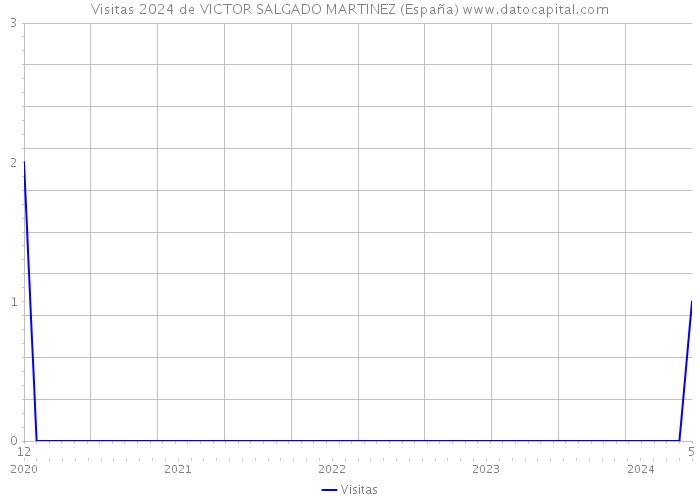 Visitas 2024 de VICTOR SALGADO MARTINEZ (España) 