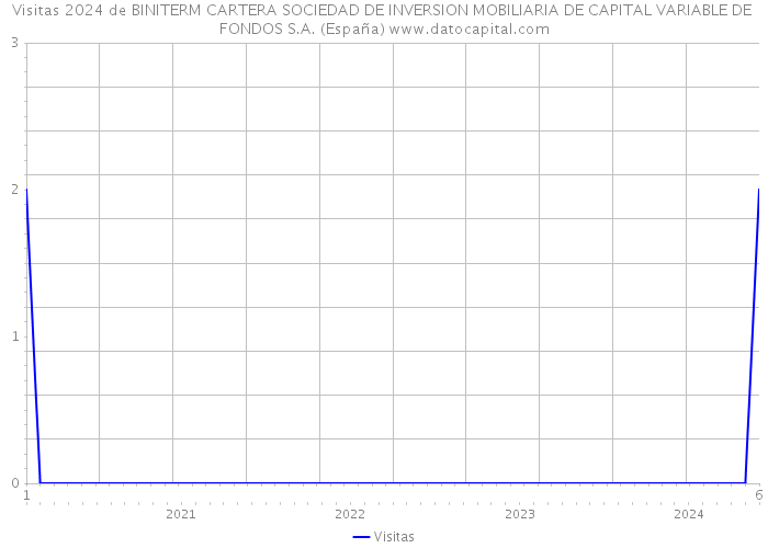 Visitas 2024 de BINITERM CARTERA SOCIEDAD DE INVERSION MOBILIARIA DE CAPITAL VARIABLE DE FONDOS S.A. (España) 