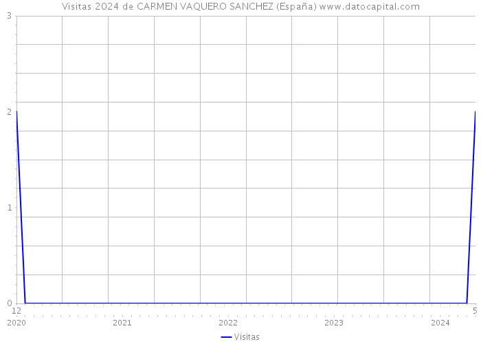 Visitas 2024 de CARMEN VAQUERO SANCHEZ (España) 