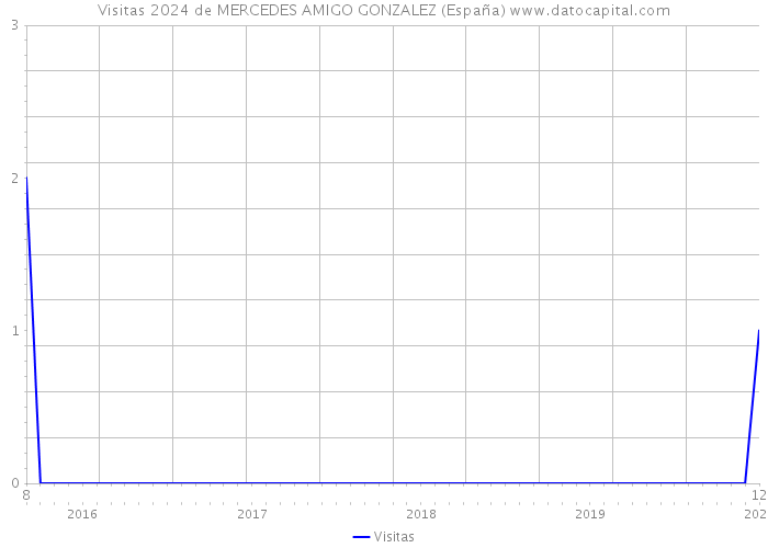 Visitas 2024 de MERCEDES AMIGO GONZALEZ (España) 