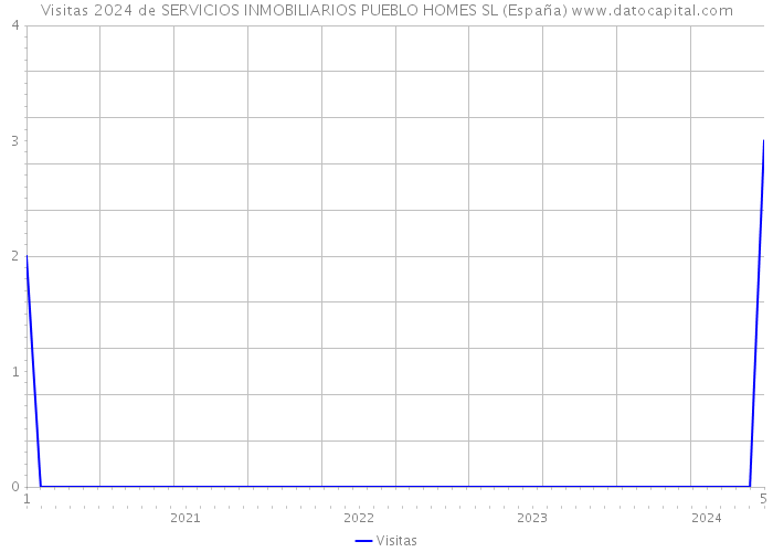 Visitas 2024 de SERVICIOS INMOBILIARIOS PUEBLO HOMES SL (España) 