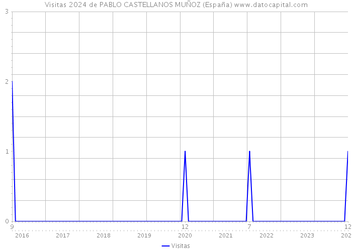 Visitas 2024 de PABLO CASTELLANOS MUÑOZ (España) 