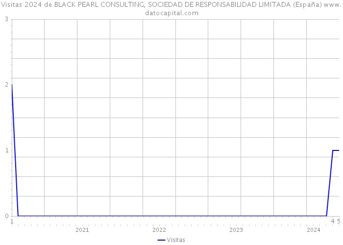 Visitas 2024 de BLACK PEARL CONSULTING, SOCIEDAD DE RESPONSABILIDAD LIMITADA (España) 