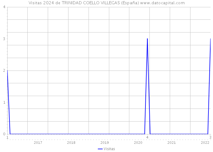 Visitas 2024 de TRINIDAD COELLO VILLEGAS (España) 
