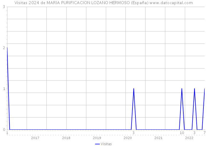 Visitas 2024 de MARIA PURIFICACION LOZANO HERMOSO (España) 
