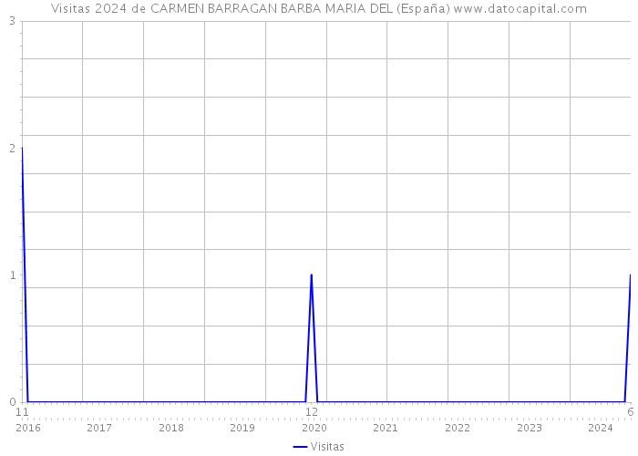 Visitas 2024 de CARMEN BARRAGAN BARBA MARIA DEL (España) 