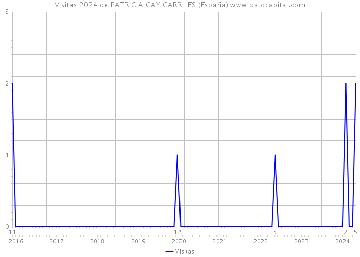 Visitas 2024 de PATRICIA GAY CARRILES (España) 