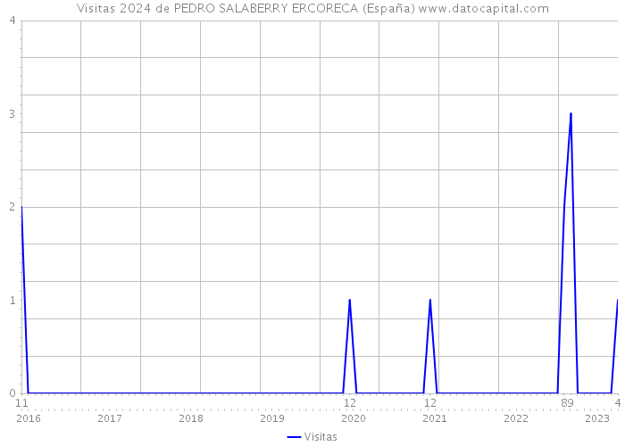Visitas 2024 de PEDRO SALABERRY ERCORECA (España) 