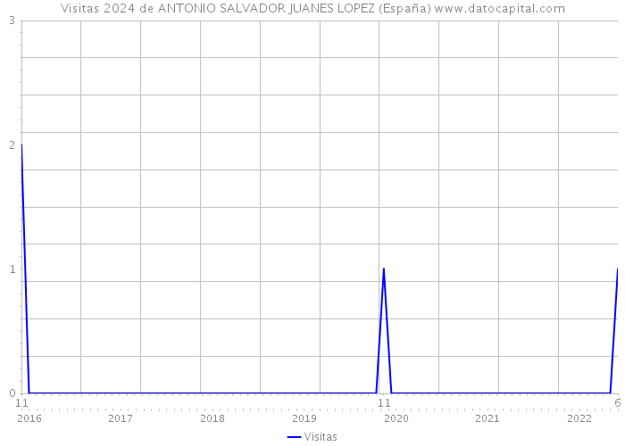 Visitas 2024 de ANTONIO SALVADOR JUANES LOPEZ (España) 
