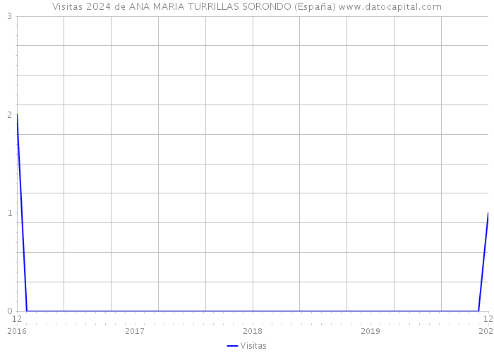 Visitas 2024 de ANA MARIA TURRILLAS SORONDO (España) 