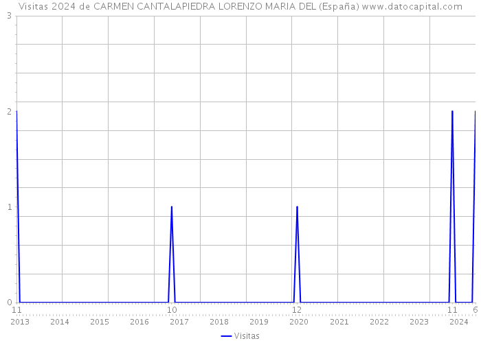 Visitas 2024 de CARMEN CANTALAPIEDRA LORENZO MARIA DEL (España) 