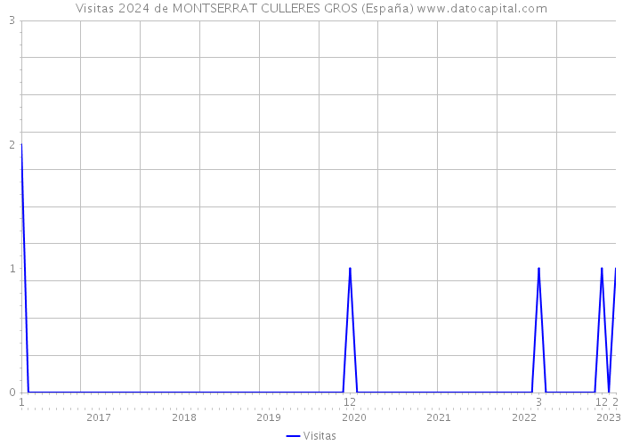 Visitas 2024 de MONTSERRAT CULLERES GROS (España) 