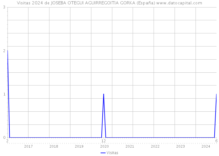 Visitas 2024 de JOSEBA OTEGUI AGUIRREGOITIA GORKA (España) 