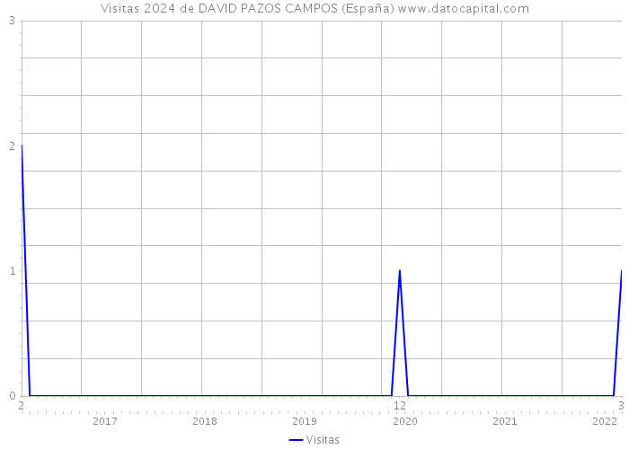 Visitas 2024 de DAVID PAZOS CAMPOS (España) 