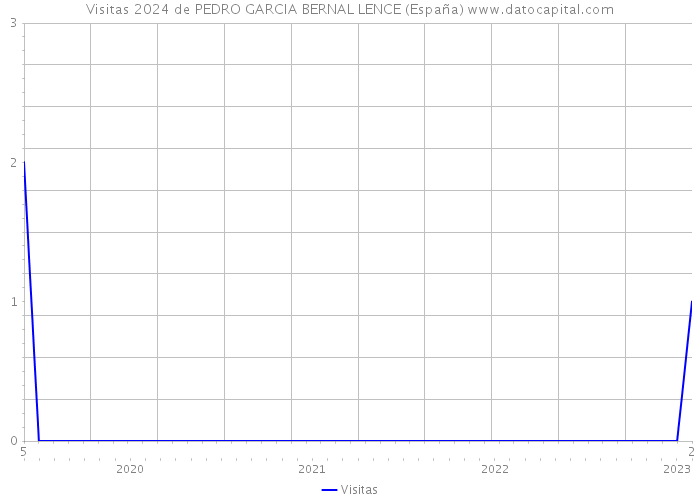Visitas 2024 de PEDRO GARCIA BERNAL LENCE (España) 