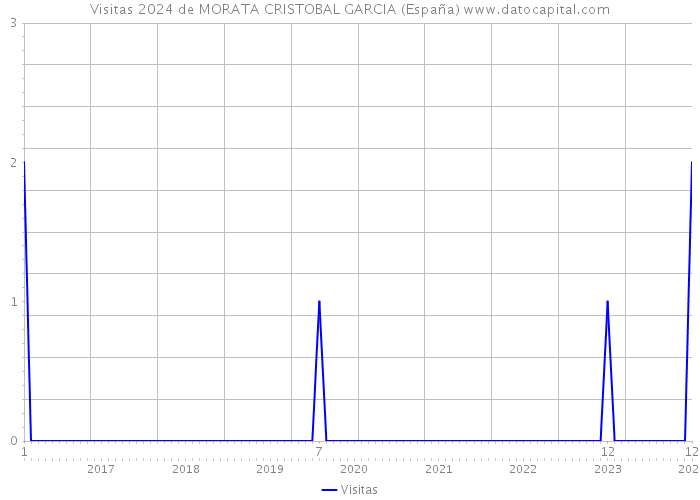 Visitas 2024 de MORATA CRISTOBAL GARCIA (España) 