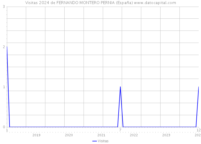 Visitas 2024 de FERNANDO MONTERO PERNIA (España) 