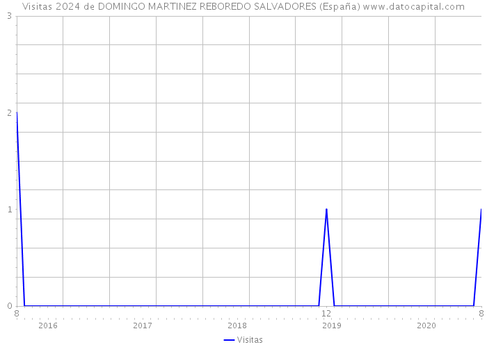 Visitas 2024 de DOMINGO MARTINEZ REBOREDO SALVADORES (España) 