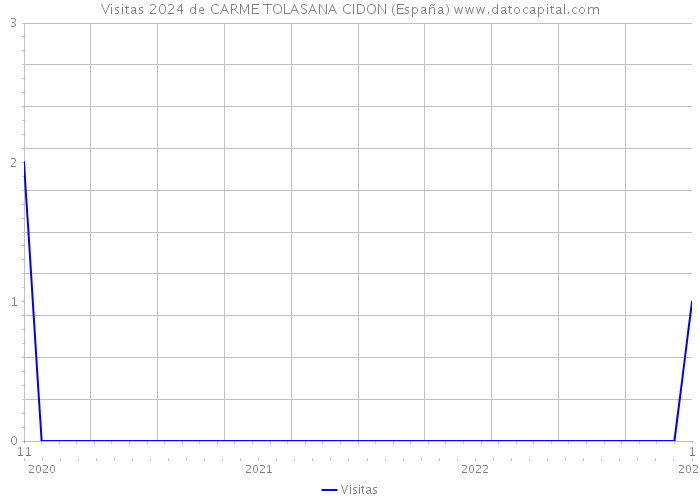 Visitas 2024 de CARME TOLASANA CIDON (España) 