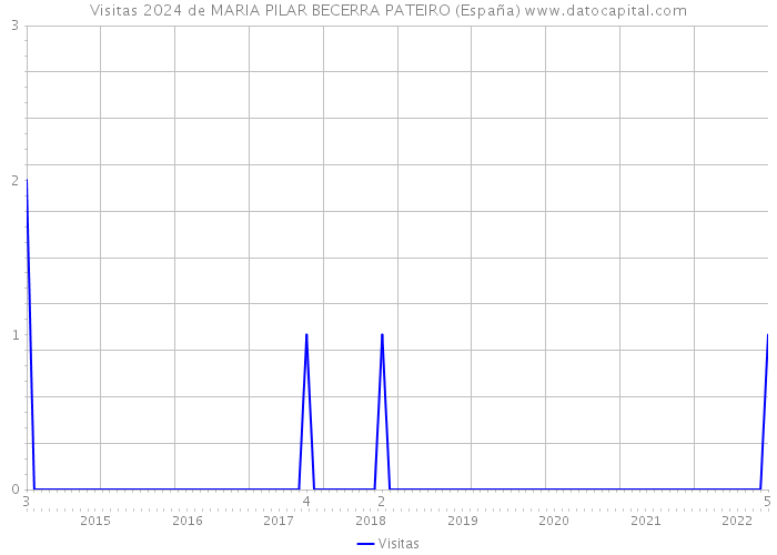 Visitas 2024 de MARIA PILAR BECERRA PATEIRO (España) 