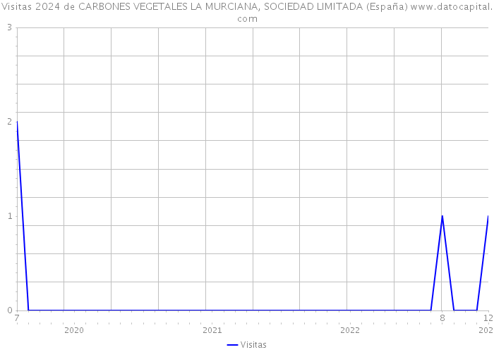 Visitas 2024 de CARBONES VEGETALES LA MURCIANA, SOCIEDAD LIMITADA (España) 