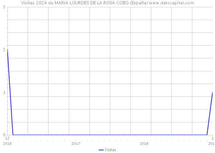 Visitas 2024 de MARIA LOURDES DE LA ROSA COBO (España) 