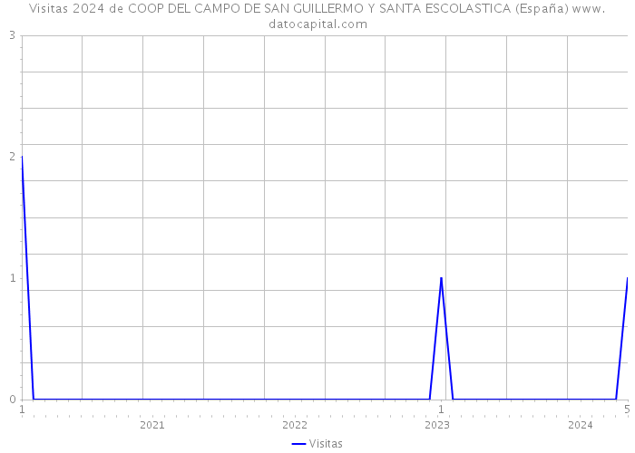 Visitas 2024 de COOP DEL CAMPO DE SAN GUILLERMO Y SANTA ESCOLASTICA (España) 