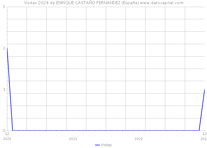 Visitas 2024 de ENRIQUE CASTAÑO FERNANDEZ (España) 