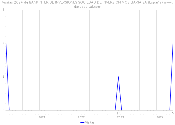 Visitas 2024 de BANKINTER DE INVERSIONES SOCIEDAD DE INVERSION MOBILIARIA SA (España) 