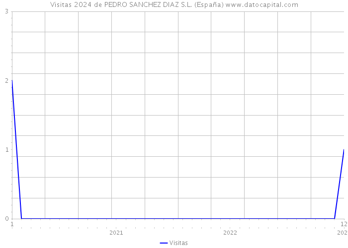 Visitas 2024 de PEDRO SANCHEZ DIAZ S.L. (España) 