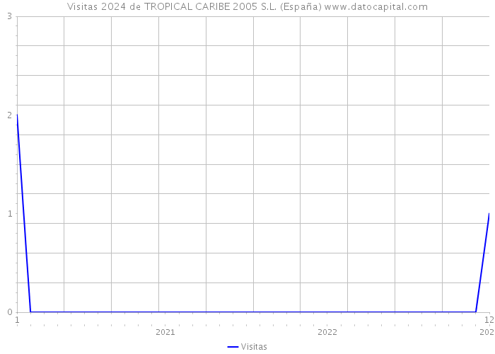 Visitas 2024 de TROPICAL CARIBE 2005 S.L. (España) 