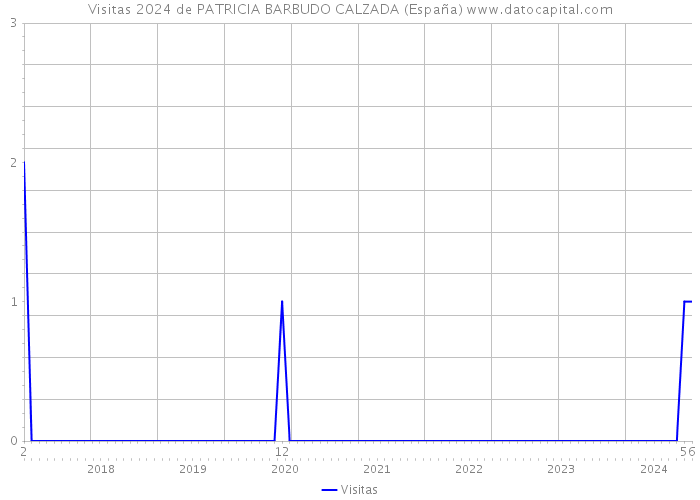 Visitas 2024 de PATRICIA BARBUDO CALZADA (España) 