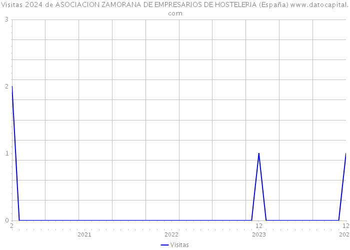 Visitas 2024 de ASOCIACION ZAMORANA DE EMPRESARIOS DE HOSTELERIA (España) 