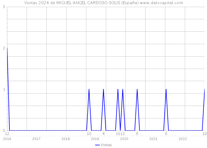 Visitas 2024 de MIGUEL ANGEL CARDOSO SOLIS (España) 