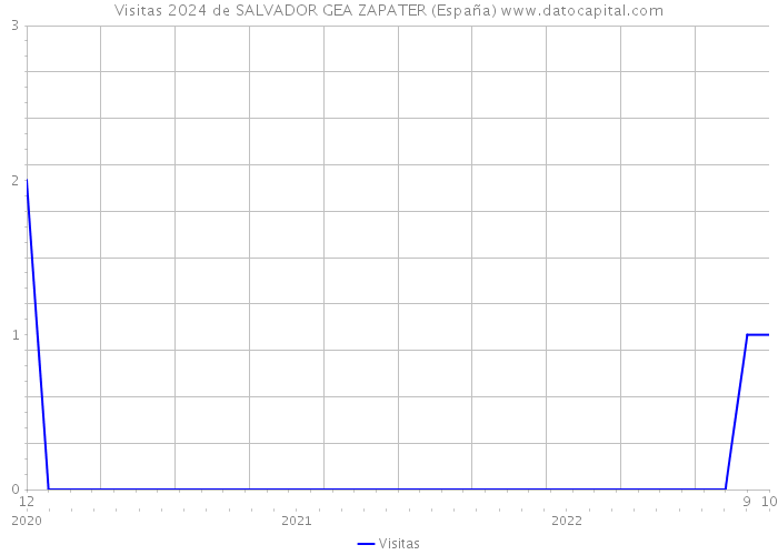 Visitas 2024 de SALVADOR GEA ZAPATER (España) 