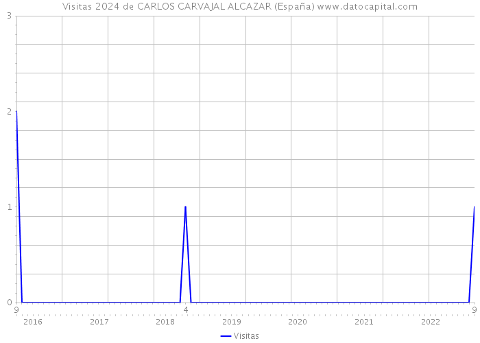 Visitas 2024 de CARLOS CARVAJAL ALCAZAR (España) 