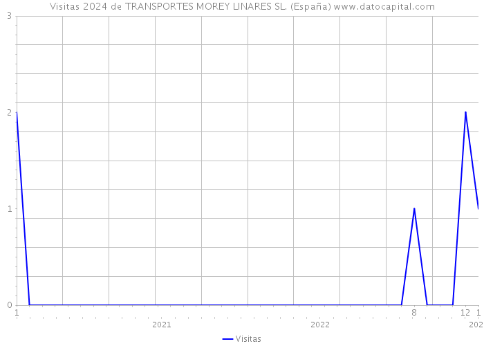 Visitas 2024 de TRANSPORTES MOREY LINARES SL. (España) 