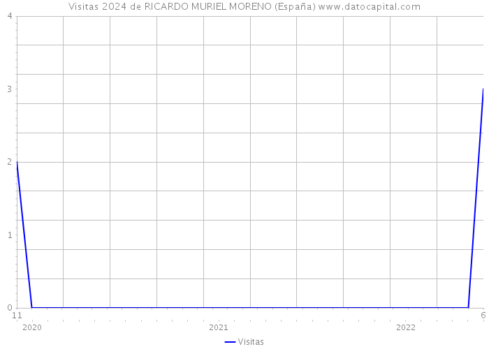 Visitas 2024 de RICARDO MURIEL MORENO (España) 