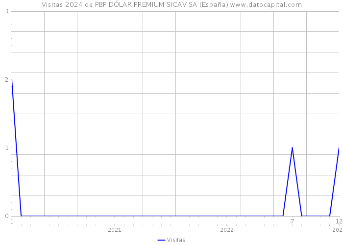 Visitas 2024 de PBP DÓLAR PREMIUM SICAV SA (España) 