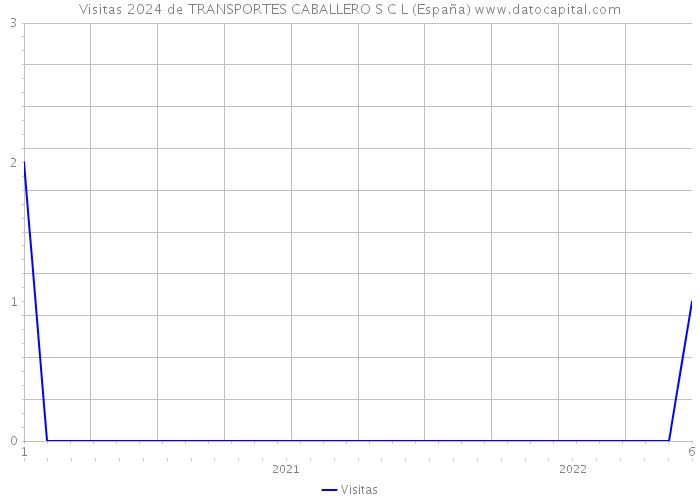 Visitas 2024 de TRANSPORTES CABALLERO S C L (España) 