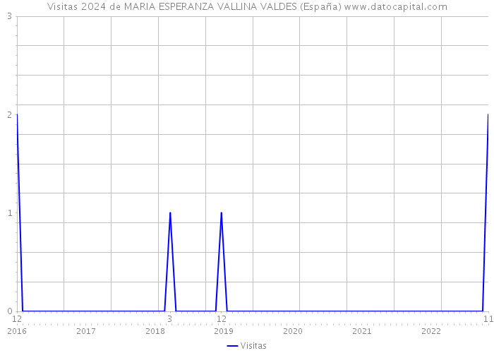 Visitas 2024 de MARIA ESPERANZA VALLINA VALDES (España) 