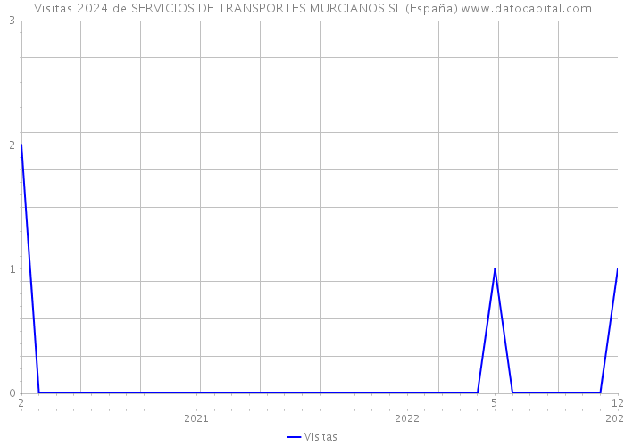 Visitas 2024 de SERVICIOS DE TRANSPORTES MURCIANOS SL (España) 