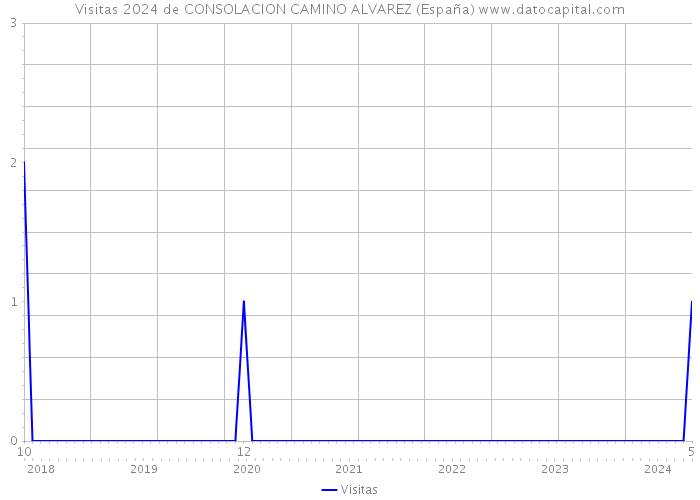 Visitas 2024 de CONSOLACION CAMINO ALVAREZ (España) 