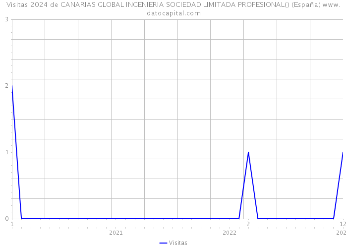 Visitas 2024 de CANARIAS GLOBAL INGENIERIA SOCIEDAD LIMITADA PROFESIONAL() (España) 