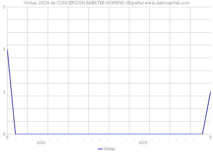 Visitas 2024 de CONCEPCION SABATER MORENO (España) 