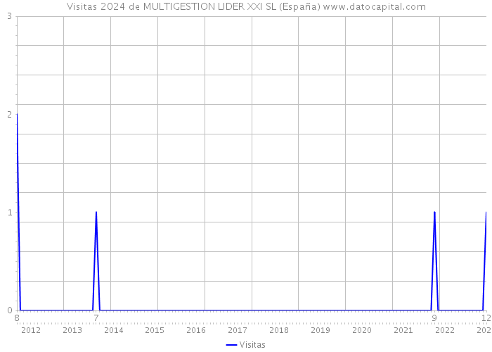 Visitas 2024 de MULTIGESTION LIDER XXI SL (España) 