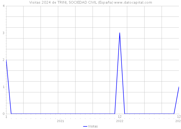 Visitas 2024 de TRINI, SOCIEDAD CIVIL (España) 